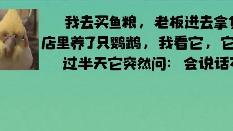 米面制品厂家直销，揭秘价格背后的秘密**