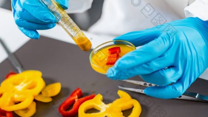 蜜饯果干包装袋尺寸型号全解析：尺寸背后的秘密